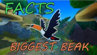 Interesting Facts About Every Bird in Feather Family! 