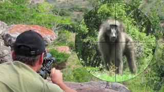 Extreme Long Range Baboon Hunt - Amazing bullet vapor trail