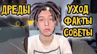 Дреды: уход, факты, советы,