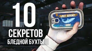 10 СЕКРЕТОВ БЛЕДНОЙ БУХТЫ (ERRANT PILGRIM)  ► THE LONG DARK