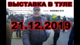 21.12.2019 Выставка - продажа голубей в городе Туле.