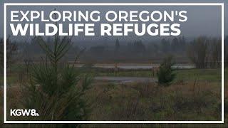 Let's Get Out There: Exploring Oregon's wildlife refuges