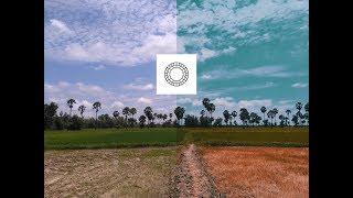 Film Effect in VSCOCAM | How I Edit My Picture