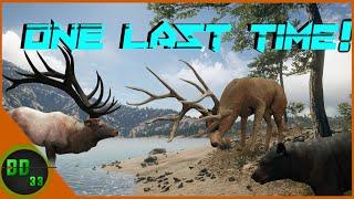 This Will Be The Last Time We Will Be Hunting Here! Call Of The Wild