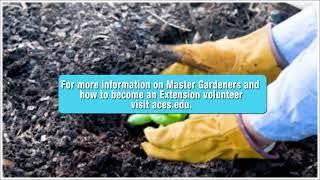 Get to Know Alabama Extension: Master Gardeners