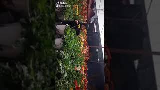 Jelong Cameron Highland