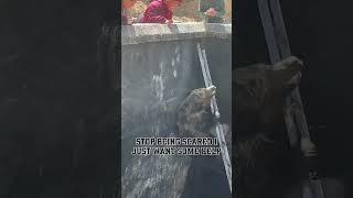 #stop #being #scared #i #just #want #help no body or animals was in harm way #damostuglyiest