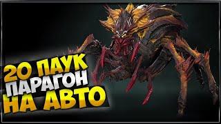 20 паук через парагона на авто. Raid: shadow legends