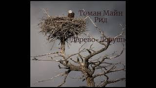 Томас Майн Рид "Дерево-ловушка" (рассказ) слушать онлайн аудиокнигу