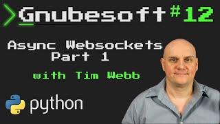 Gnubesoft: Async Python Websockets - Part 1