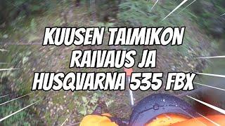 kuusen taimikon raivaus ja husqvarna 535fbx