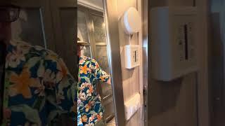 Large Balcony Cabin 12433 | Sun Princess