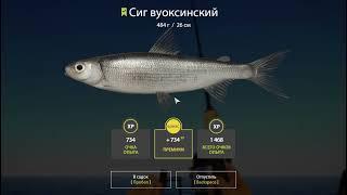 Russian Fishing 4. Ладожский архипелаг. Пробуем ловить сига. Приятный не ждан)