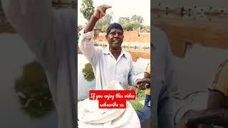 badam badam kaccha badam || badam badam song || badam badam shorts video || badam badam viral video