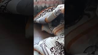 #shorts#cat#pushok       when you don't know how to roll