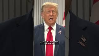 President Donald Trump directs ICE to focus raids on Democrat-run, sanctuary cities