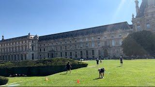 Louvre School -Best View - Paris