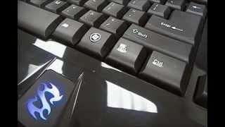 Sharkoon Skiller Gaming Keyboard Hardware Overview & Software Demonstration