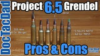 Project 6.5 Grendel - Pros & Cons