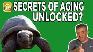 These Animals Don't Grow Old! Could The Secrets Of Aging Finally Be Unlocked?