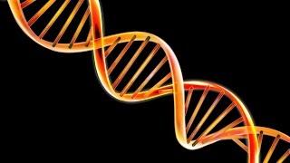 A Song of Ice and Fire: The Genetics of Dragons and War Part 1