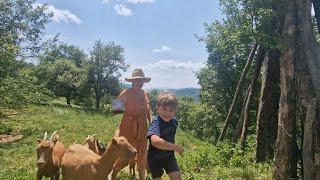 Hidden Life in the Carpathian Mountains | A  Family and their Animals