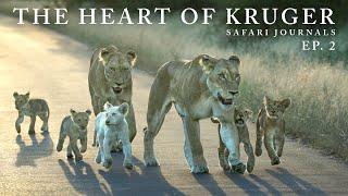 Safari Journals: Kruger National Park | Maroela & Satara