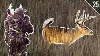 Spot and Stalk RUT Hunt in Ohio! - BIG BUCKS on the MOVE!