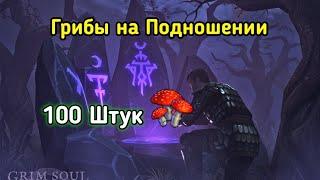 100 Мухоморов на Тёмном Подношении Grim Soul Survival 3.5.0