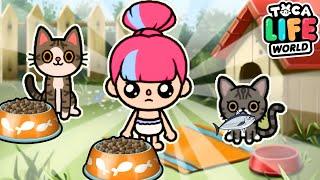  МЕНЯ УДОЧЕРИЛИ КОШКИ!  Toca Boca Life World