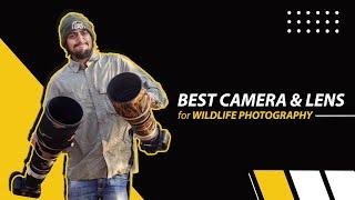 Best Camera and Lens for Wildlife Photography | Canon, Nikon, Sony