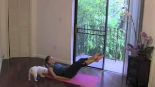 Core Floor - 20 Minute Abs Workout | Home Exercises for Ab and Oblique Muscles