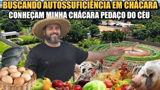 TORNANDO MINHA CHÁCARA AUTOSSUSTENTÁVEL | FRANCA SP