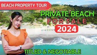 LFS 29 | Php 30M | Beach For Sale with House and lot | Beach Front Private Resort 2024