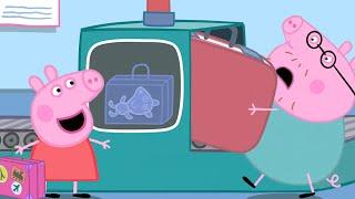 Aventura no aeroporto | Peppa Pig Português Brasil Episódios Completos