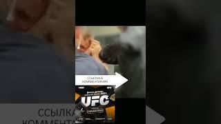 Корнея Тарасова унизили #shorts #mma #боибезправил