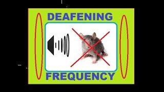 Sound to keep Mice away - Deafening frequency