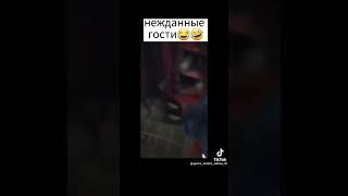 Нежданые гости 