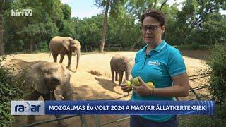 Radar – Mozgalmas év volt 2024 a magyar állatkerteknek - HÍR TV