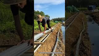 use the ladder-like track to transport metal pipes for building simple greenhouse !