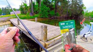 Easy Way To Catch A Load Of Bluegill To Eat! Easy Fish For Dinner