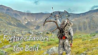 DIY Alaska Caribou Bow Hunt 3 BULLS DOWN | Haul Road Dalton Highway