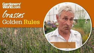 Caring for grasses - Golden Rules