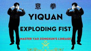 Yiquan Exploding Fist #yiquan #dachengquan #yaozongxun