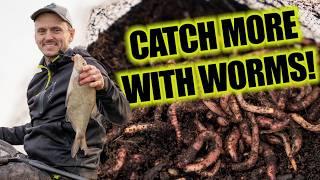 This bait WILL catch you more fish! | The ultimate guide to fishing with WORMS!