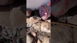 I Accidentally Found A Letterbox Geocache!