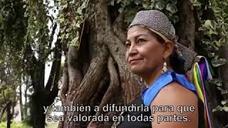 MAPUZUGUN - EL HABLA DE LA TIERRA. Año Internacional de las Lenguas Indígenas.