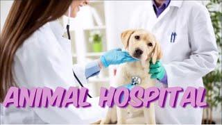 4 класс The animal hospital.