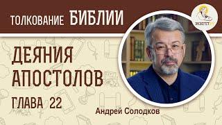 Деяния Святых Апостолов. Глава 22. Андрей Солодков. Новый Завет