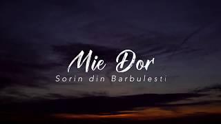 Sorin de la Barbulesti - Mi-e Dor [2019] (Official Video)